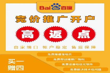 案例分析：SEM推广助力行业竞争突围